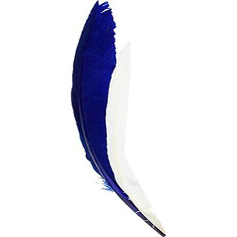 Φτερά Efco ασσορτί INDIAN 20-30cm