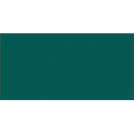 Χαρτί χειροτεχνίας CANSON Mi-Teintes 50x70 160gr No 575 Viridian Green