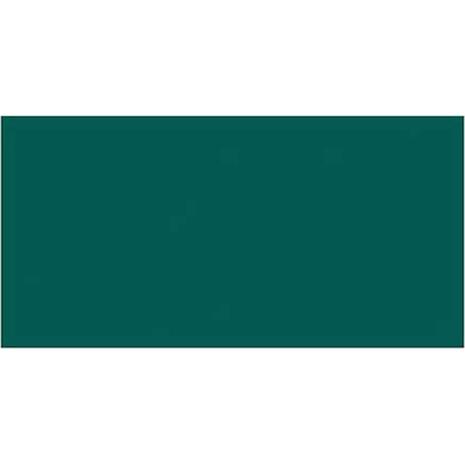 Χαρτί χειροτεχνίας CANSON Mi-Teintes 50x70 160gr No 575 Viridian Green