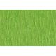 Χαρτί γκοφρέ WEROLA 50X200 cm πράσινο (Πράσινο)