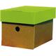 Κουτί αρχειοθέτσης απο χαρτόνι με καπάκι Next Α5 16x16x22cm λαχανί
