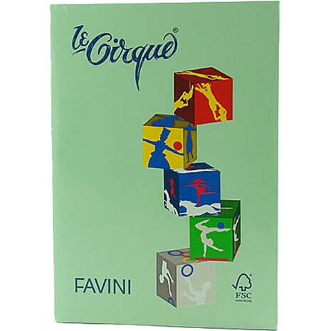 Χαρτί εκτύπωσης FAVINI Α4 80gr 500 φύλλα παστελ πράσινο