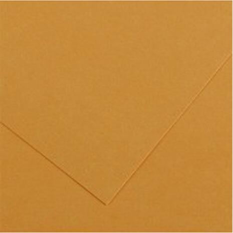 Χαρτί χειροτεχνίας CANSON Colorline 50x70cm 220gr No 32 Leather