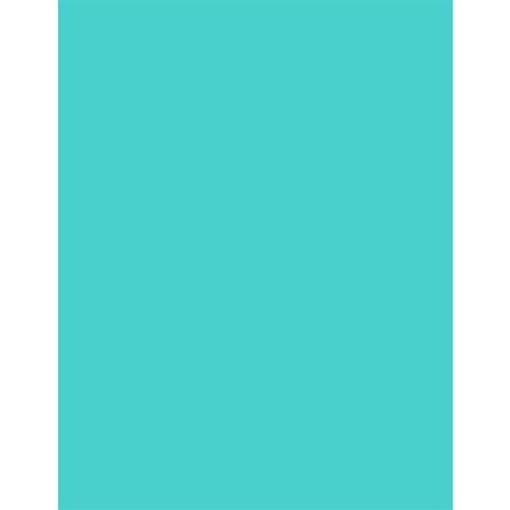 Χαρτί χειροτεχνίας CANSON Colorline 50x70cm 220gr No 25 Turquise Blue