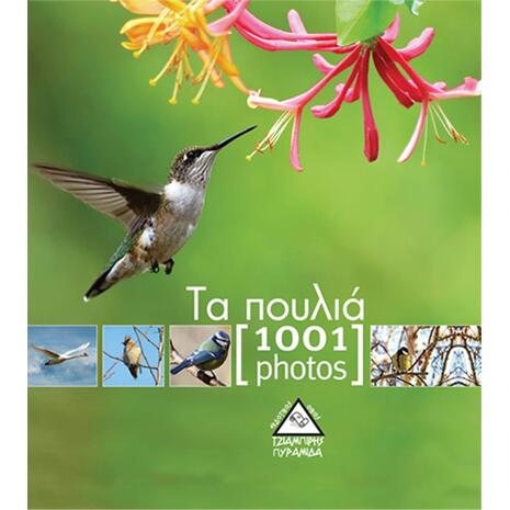 Τα πουλιά - 1001 photos