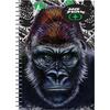 Τετράδιο BMU No Fear Gorilla-Lion 2 θεμάτων 17x25cm 70 φύλλων (347-69402) (Διάφορα σχέδια)