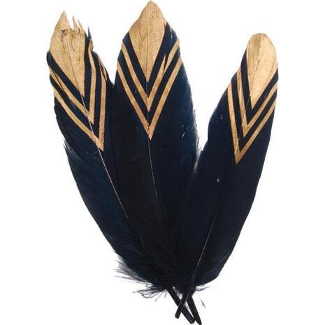 Φτερά μαύρο-χρυσό 19cm (συσκευασία 10 τεμαχίων)