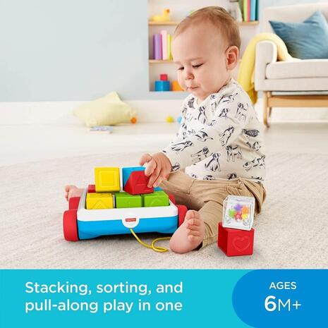 Συρόμενο Βαγονάκι με Τουβλάκια Fisher Price (GJW10)