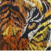 Διακοσμητικό μαξιλάρι Tiger Velvet Black | entos 45x45cm