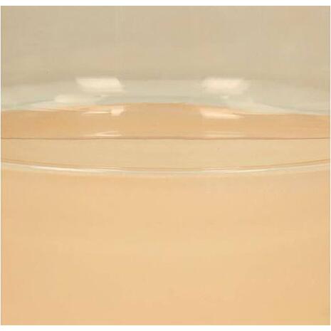 Βάζο Glass Peach | entos 14.5x14.5x19cm