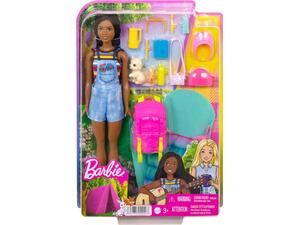 Κούκλα Barbie Family Camping Brooklyn (HDF74)