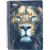 Τετράδιο σπιράλ BMU No Fear Africa Lion 2 θεμάτων 17x25cm 70 φύλλα σε διάφορα σχέδια (348-00402) - Ανακάλυψε Τετράδια σχολικά για μαθητές και φοιτητές για το γραφείο ή το σπίτι από το Oikonomou-shop.gr.