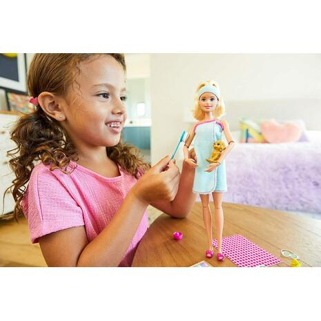 Κούκλα Barbie Wellness Ημέρα Ομορφιάς (GKH73)