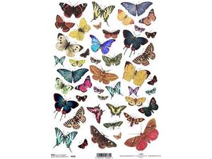 Ριζόχαρτο για Decoupage Next "butterflies 1" 21x29εκ. (ITD-R230) (1 τεμάχιο) - Ανακάλυψε όλα τα είδη που χρειάζεσαι για την αγαπημένη σου τεχνική Decoupage από το Oikonomou-shop.gr.