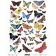 Ριζόχαρτο για Decoupage Next "butterflies 1" 21x29εκ. (ITD-R230) (1 τεμάχιο) - Ανακάλυψε όλα τα είδη που χρειάζεσαι για την αγαπημένη σου τεχνική Decoupage από το Oikonomou-shop.gr.