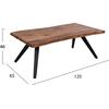 ΤΡΑΠΕΖΙ ΣΑΛΟΝΙΟΥ JOSINA ΜΑΣΙΦ ΞΥΛΟ ΑΚΑΚΙΑΣ 120x65x46Yεκ. HM8365.11