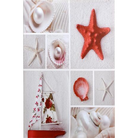 ΠΙΝΑΚΑΣ ΚΑΜΒΑΣ HM7088 RED STARFISH 40X60