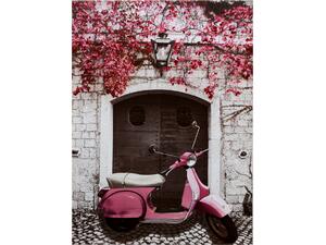 ΠΙΝΑΚΑΣ ΚΑΜΒΑΣ 50X70X2.5εκ. PINK MOTOCYCLE HM7066