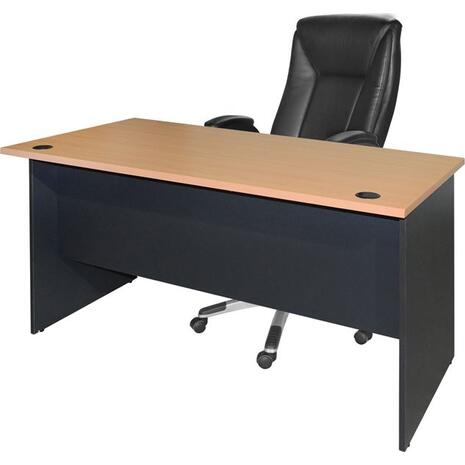 ΓΡΑΦΕΙΟ ΕΠΑΓΓΕΛΜΑΤΙΚΟ ABELINA 150x75x75 HM2016.01 ΓΚΡΙ-ΟΞΙΑ
