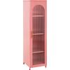 ΜΕΤΑΛΛΙΚΟ ΨΗΛΟ ΝΤΟΥΛΑΠΙ ΒΙΤΡΙΝΑ CARIL HM9570.03 PASTEL ΡΟΖ 40x37-40x150Υεκ.