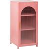 ΜΕΤΑΛΛΙΚΟ ΝΤΟΥΛΑΠΙ ΒΙΤΡΙΝΑ CARIL HM9569.03 PASTEL ΡΟΖ 50x37-40x102Y εκ.