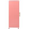 ΜΕΤΑΛΛΙΚΟ ΝΤΟΥΛΑΠΙ ΒΙΤΡΙΝΑ CARIL HM9569.03 PASTEL ΡΟΖ 50x37-40x102Y εκ.