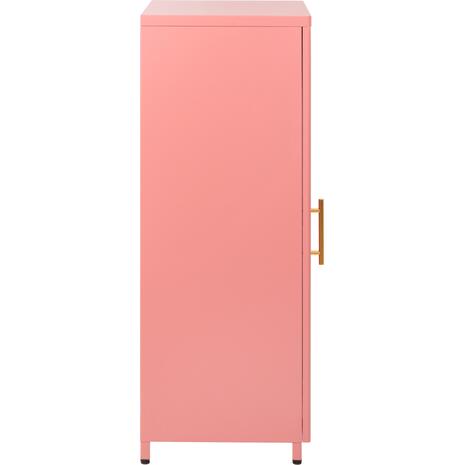 ΜΕΤΑΛΛΙΚΟ ΝΤΟΥΛΑΠΙ ΒΙΤΡΙΝΑ CARIL HM9569.03 PASTEL ΡΟΖ 50x37-40x102Y εκ.