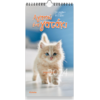 Ημερολόγιο μηνιαίο τοίχου σπιράλ "Αγαπώ ένα γατάκι" 17x33cm 2024