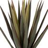 ΔΙΑΚΟΣΜΗΤΙΚΟ ΣΥΝΘΕΤΙΚΟ ΦΥΤΟ HM7985 SISAL AGAVE ΣΕ ΓΛΑΣΤΡΑ  Φ13,5x13-76Υεκ.