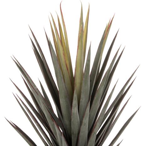 ΔΙΑΚΟΣΜΗΤΙΚΟ ΣΥΝΘΕΤΙΚΟ ΦΥΤΟ HM7987 SISAL AGAVE ΣΕ ΓΛΑΣΤΡΑ 120Υεκ.