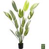 ΔΙΑΚΟΣΜΗΤΙΚΟ ΣΥΝΘΕΤΙΚΟ ΦΥΤΟ HM7997 CALATHEA ΣΕ ΓΛΑΣΤΡΑ 140Υεκ.