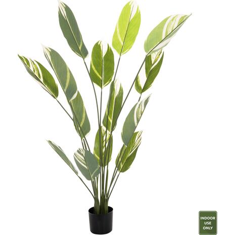 ΔΙΑΚΟΣΜΗΤΙΚΟ ΣΥΝΘΕΤΙΚΟ ΦΥΤΟ HM7997 CALATHEA ΣΕ ΓΛΑΣΤΡΑ 140Υεκ.