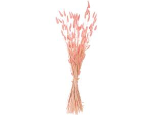 ΔΙΑΚΟΣΜΗΤΙΚΟ ΜΠΟΥΚΕΤΟ ΑΠΟΞΗΡΑΜΕΝΟ HM7960 RABBIT TAIL-PINK 75Υεκ.