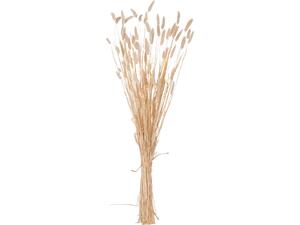 ΔΙΑΚΟΣΜΗΤΙΚΟ ΜΠΟΥΚΕΤΟ ΑΠΟΞΗΡΑΜΕΝΟ HM7959 RABBIT TAIL- CREAM 50gr 76Υεκ.