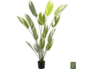 ΔΙΑΚΟΣΜΗΤΙΚΟ ΣΥΝΘΕΤΙΚΟ ΦΥΤΟ HM7997 CALATHEA ΣΕ ΓΛΑΣΤΡΑ 140Υεκ.