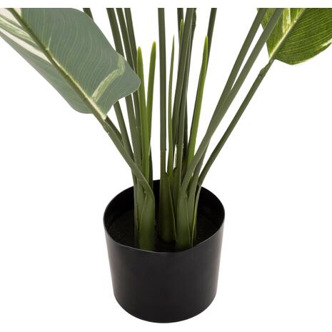 ΔΙΑΚΟΣΜΗΤΙΚΟ ΣΥΝΘΕΤΙΚΟ ΦΥΤΟ HM7997 CALATHEA ΣΕ ΓΛΑΣΤΡΑ 140Υεκ.