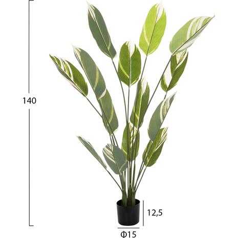 ΔΙΑΚΟΣΜΗΤΙΚΟ ΣΥΝΘΕΤΙΚΟ ΦΥΤΟ HM7997 CALATHEA ΣΕ ΓΛΑΣΤΡΑ 140Υεκ.