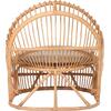 ΠΟΛΥΘΡΟΝΑ ENTROPY HM9840.01 RATTAN ΦΥΣΙΚΟ ΜΕ ΕΚΡΟΥ ΜΑΞΙΛΑΡΙ 80x97x85Υεκ.