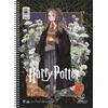 Τετράδιο Salko μονό σπιράλ "Harry Potter & Deathly Hallows V.2" A4 4 Θεμάτων 240Φ (διάφορα σχέδια)