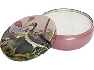 Κερί Oddbird 8.5X28 Pink/Green