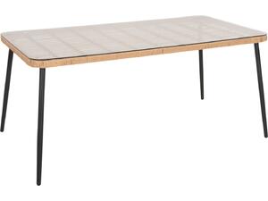 ΤΡΑΠΕΖΙ ΟΡΘΟΓΩΝΙΟ ALLEGRA HM5538.11 ΜΕΤΑΛ.ΜΑΥΡΟ-P.E. RATTAN ΦΥΣΙΚΟ 159,5x89,5x72Υεκ.