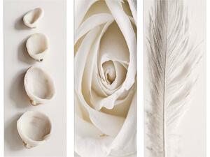 ΠΙΝΑΚΑΣ ΤΡΙΠΤΥΧΟ MDF NATURAL ELEMENTS HM7204.05 60X0,3X50 εκ.