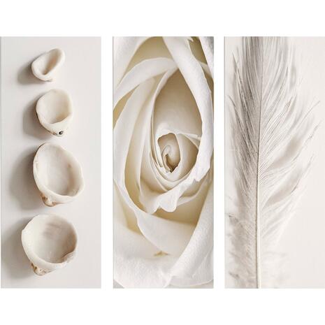 ΠΙΝΑΚΑΣ ΤΡΙΠΤΥΧΟ MDF NATURAL ELEMENTS HM7204.05 60X0,3X50 εκ.