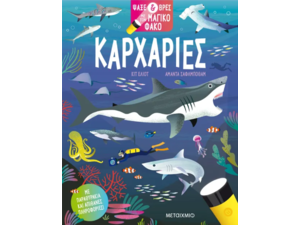 Ψάξε & βρες με τον μαγικό φακό: Καρχαρίες