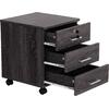 ΣΥΡΤΑΡΙΕΡΑ ΓΡΑΦΕΙΟΥ HAYDEN HM2282.01 ΣΕ ΑΝΘΡΑΚΙ ΧΡΩΜΑ 39.5x40x46.5Υεκ