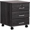 ΣΥΡΤΑΡΙΕΡΑ ΓΡΑΦΕΙΟΥ HAYDEN HM2282.01 ΣΕ ΑΝΘΡΑΚΙ ΧΡΩΜΑ 39.5x40x46.5Υεκ