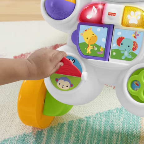 Fisher Price Στράτα Ζέβρα από 6 μηνών