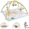 Fisher Price Γυμναστήριο Οι Πρώτες Του Αισθήσεις