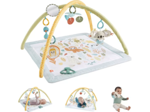 Fisher Price Γυμναστήριο Οι Πρώτες Του Αισθήσεις