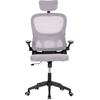 ΚΑΡΕΚΛΑ ΓΡΑΦΕΙΟΥ BASTON HM18236.02 ΓΚΡΙ MESH & ΜΑΥΡΟ PP ΣΚΕΛΕΤΟΣ 64x60x127Υεκ.